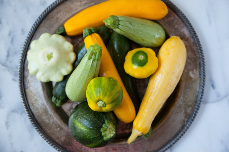 How To Grow Summer Squash From Seeds